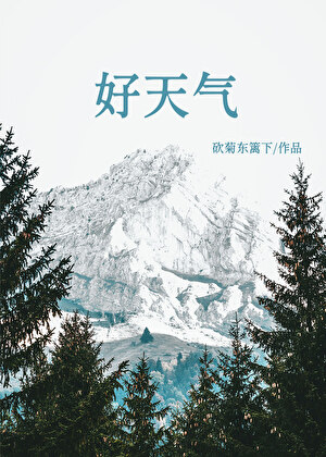 好天气[求生]