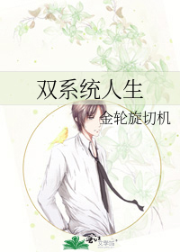 双系统人生