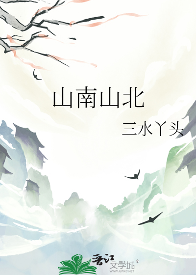 山南山北