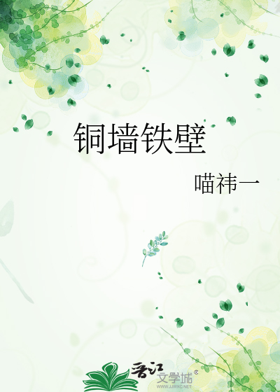 铜墙铁壁