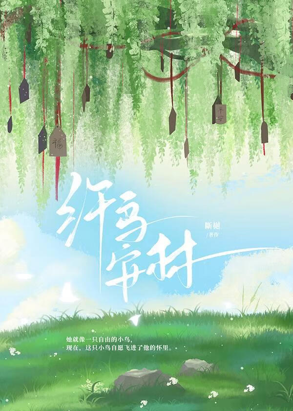 纤鸟安林