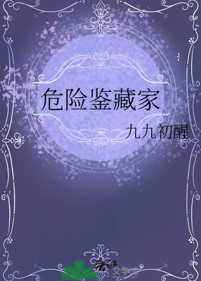 危险鉴藏家