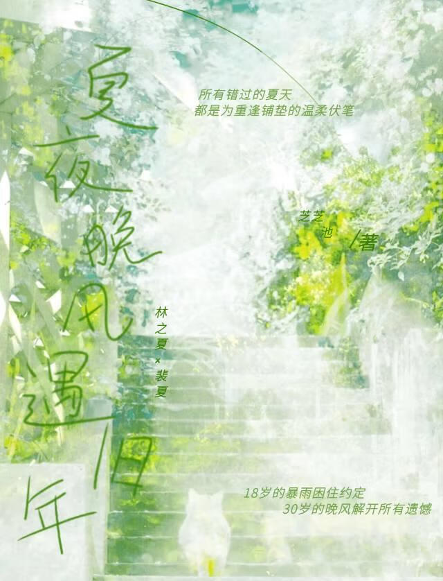 夏夜晚风遇旧年