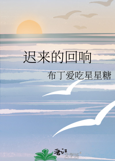 迟来的回响