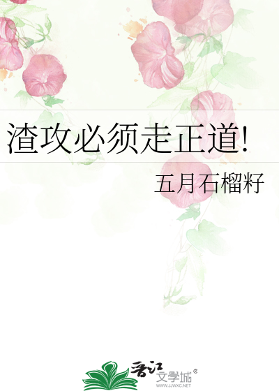 渣攻必须走正道!