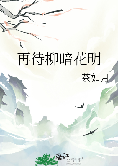 再待柳暗花明