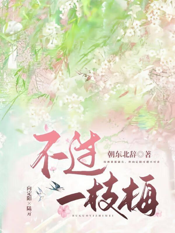 不过一枝梅（修文中jpg.）
