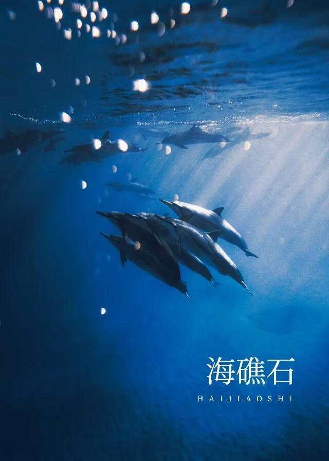 海礁石