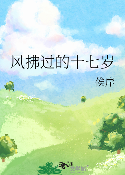 风拂过的十七岁
