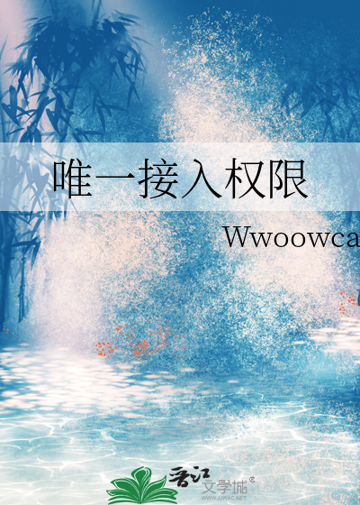 唯一接入权限
