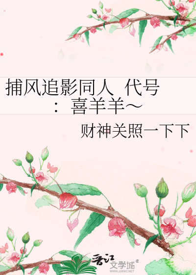 捕风追影同人  代号：喜羊羊～