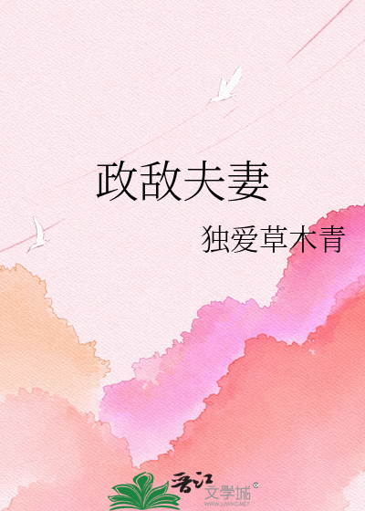 政敌夫妻