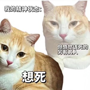 悟咪的好哥哥伊尔迷