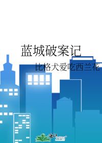 蓝城破案记