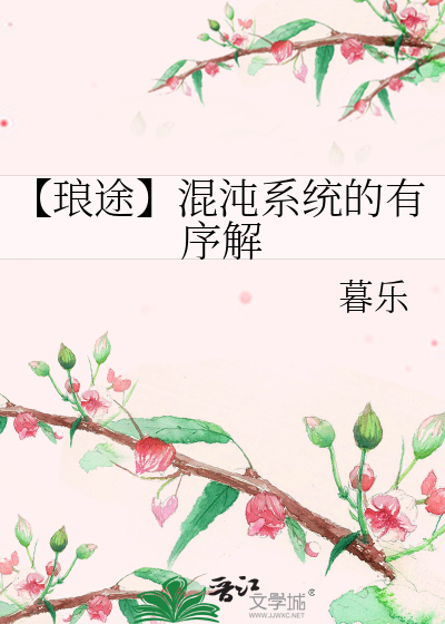 【琅途】混沌系统的有序解