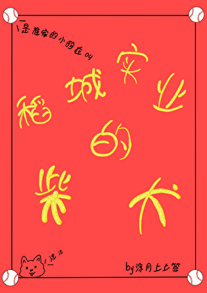 稻城实业的柴犬
