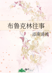 布鲁克林往事