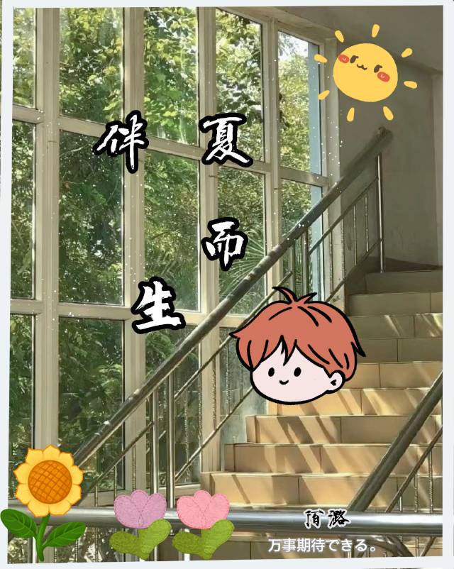 伴夏而生