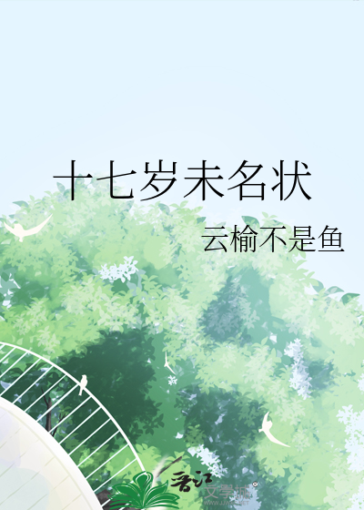 十七岁未名状
