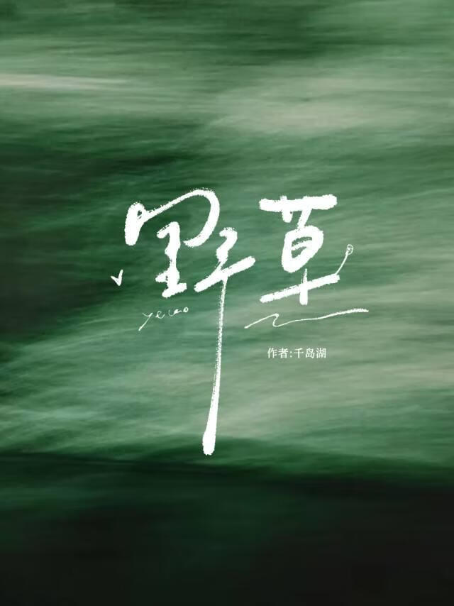 【国乒】野草