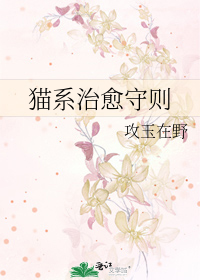 猫系治愈守则