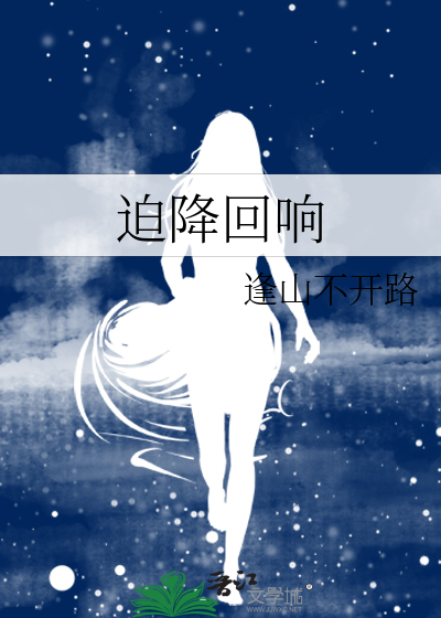 迫降回响
