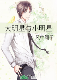 大明星与小明星