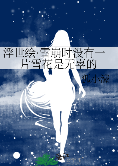 浮世绘·雪崩时没有一片雪花是无辜的