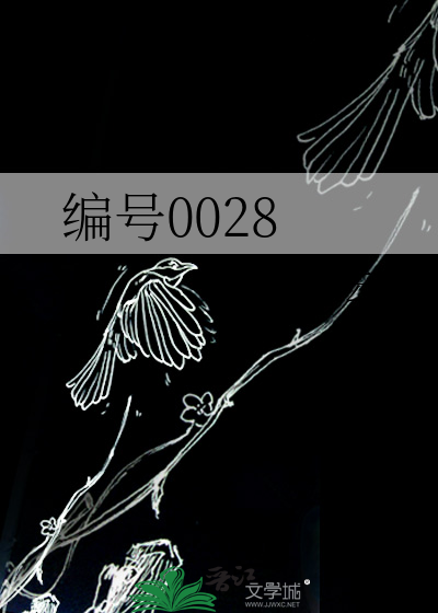 编号0028