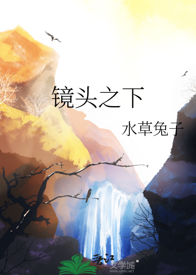 镜头之下