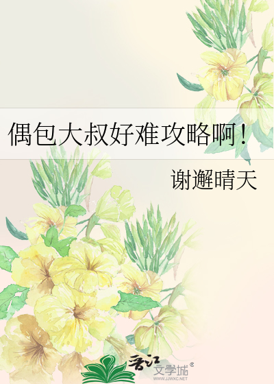 偶包大叔好难攻略啊！