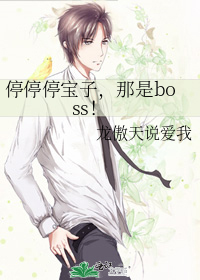 停停停宝子，那是boss！