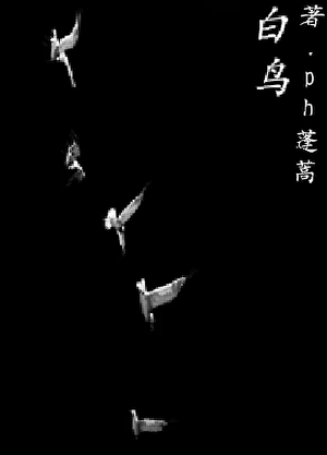 ［太中］少年、鸟