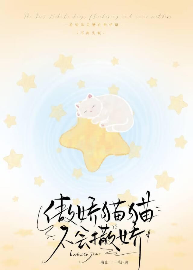 傲娇猫猫不会撒娇