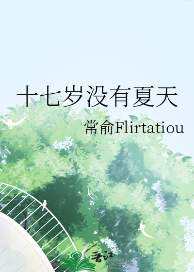 十七岁没有夏天