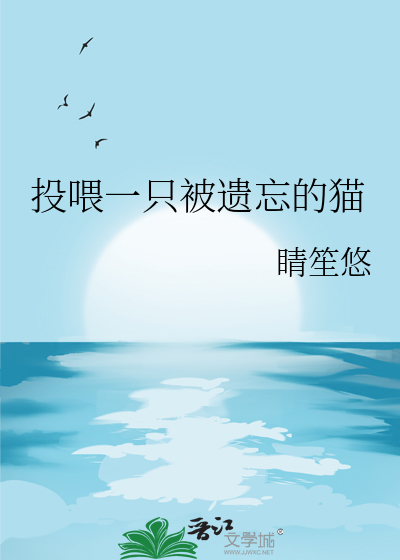 投喂一只被遗忘的猫