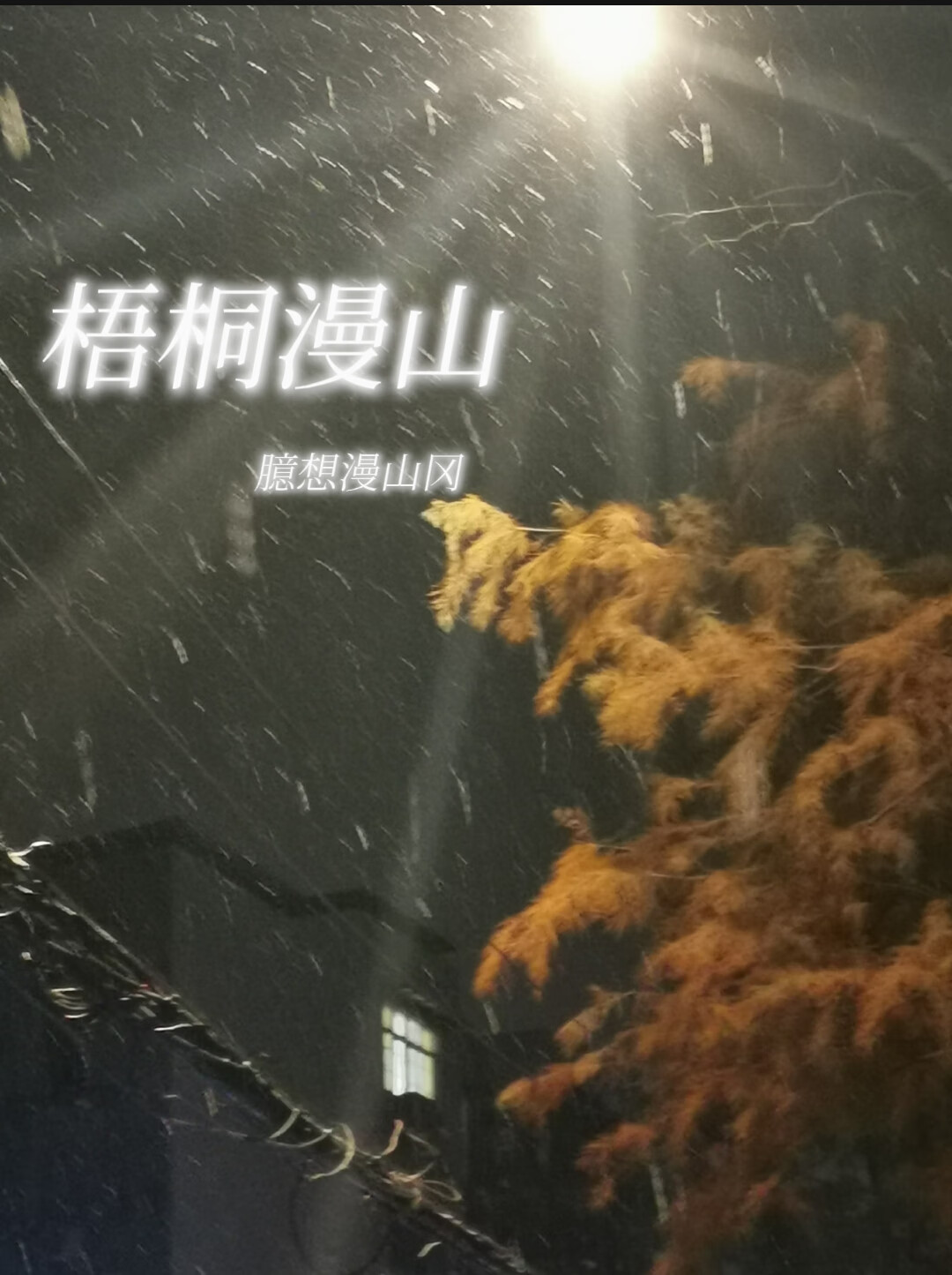 梧桐漫山