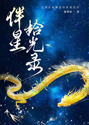 伴星拾光录