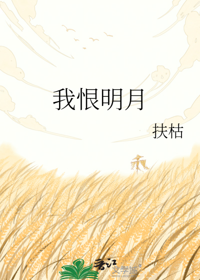 我恨明月
