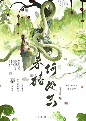 来椿，何处去？