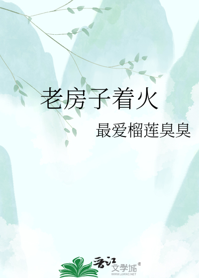 老房子着火