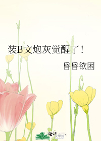 装B文炮灰觉醒了！