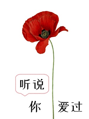 女总裁的网恋男友