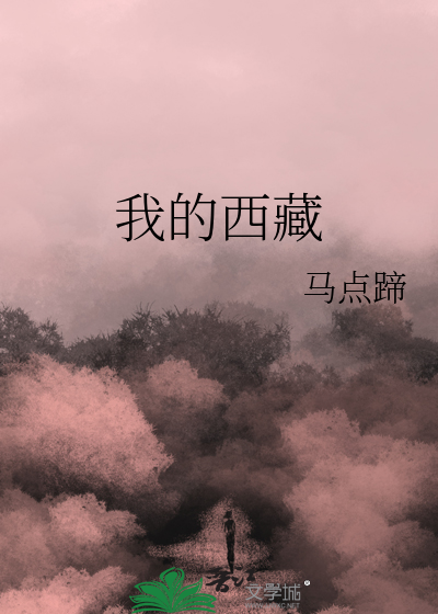 我的西藏