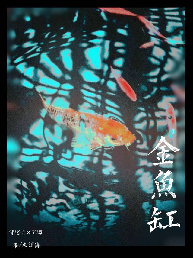 金鱼缸