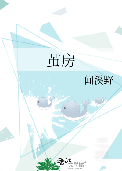 茧房