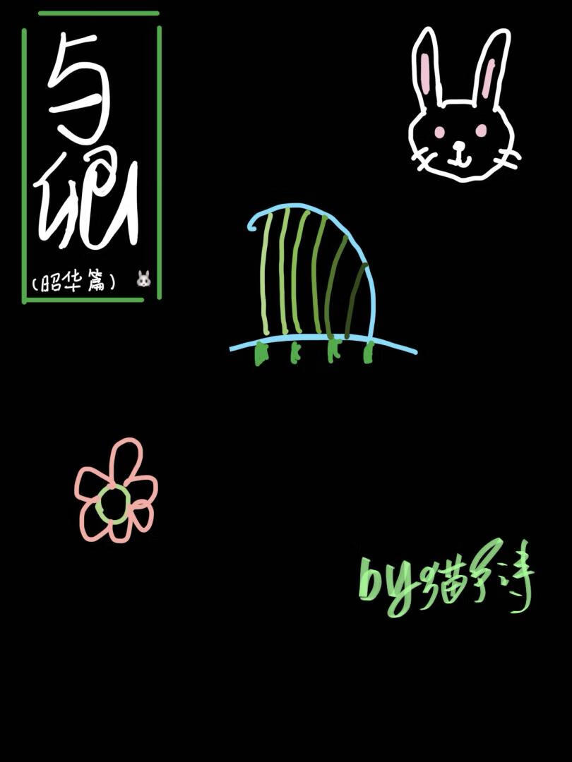 与卿昭华