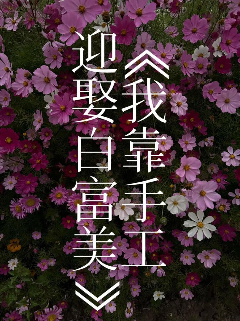 我靠手工迎娶白富美（虫族女穿男）