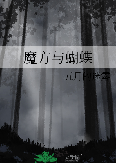 魔方与蝴蝶