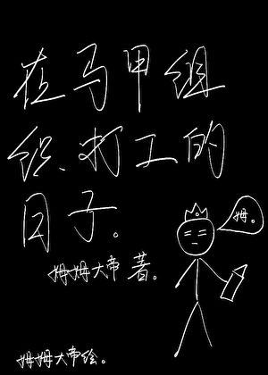 在马甲组织打工的日子